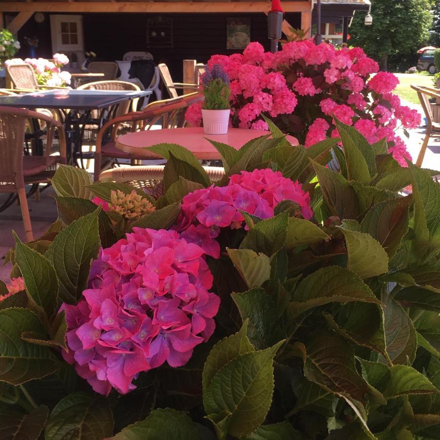 Chalet Plantlust Veere Zewnętrze zdjęcie